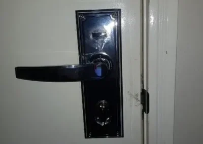 Black lever handle fitted to a door